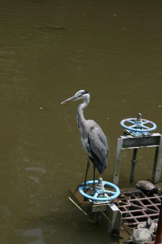 IMG 3631